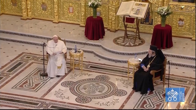 Friendly meeting between Pope Francis and the Holy Synod of Cyprus