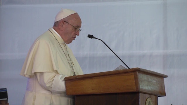 Pope to Madagascar authorities: your biodiversity is in danger of deforestation