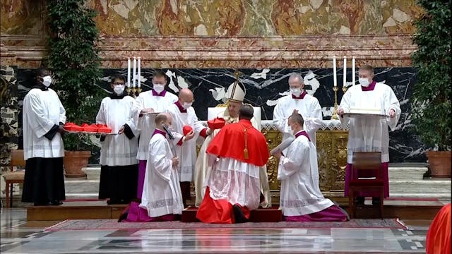 New cardinals chosen by Pope Francis
