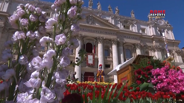 Más de 35.000 flores de Pascua volverán a cubrir la Plaza de San Pedro