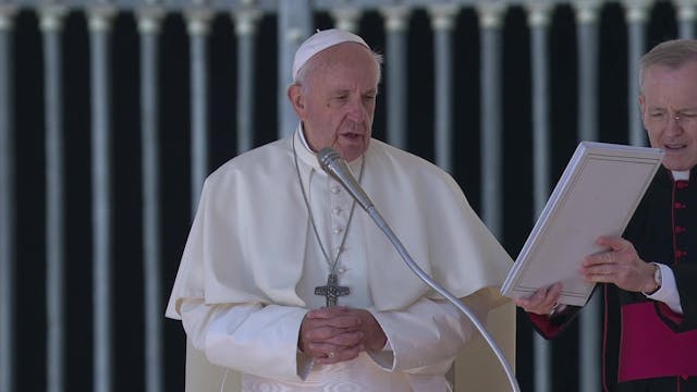 Pope during Audience warns against ha...