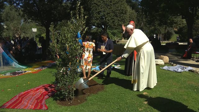 Sustainability: The new focus of WYD ...