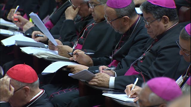 Vaticano recuerda que el Sínodo no si...