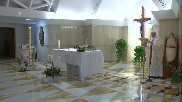 Pope prays for those who have lost th...