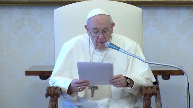Pope at General Audience: Bitterness ...