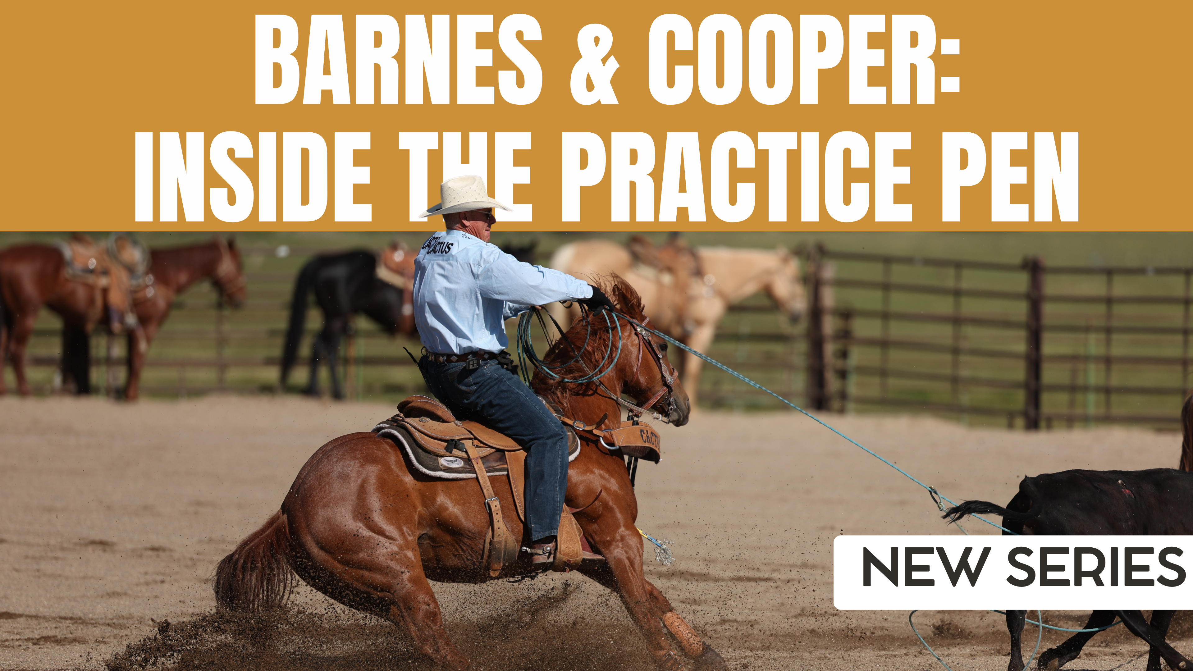 Barnes & Cooper: Inside the Practice Pen