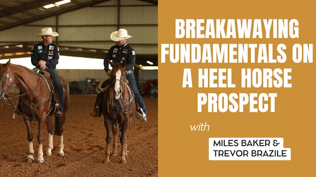 Breakawaying Fundamentals on a Heel Horse Prospect