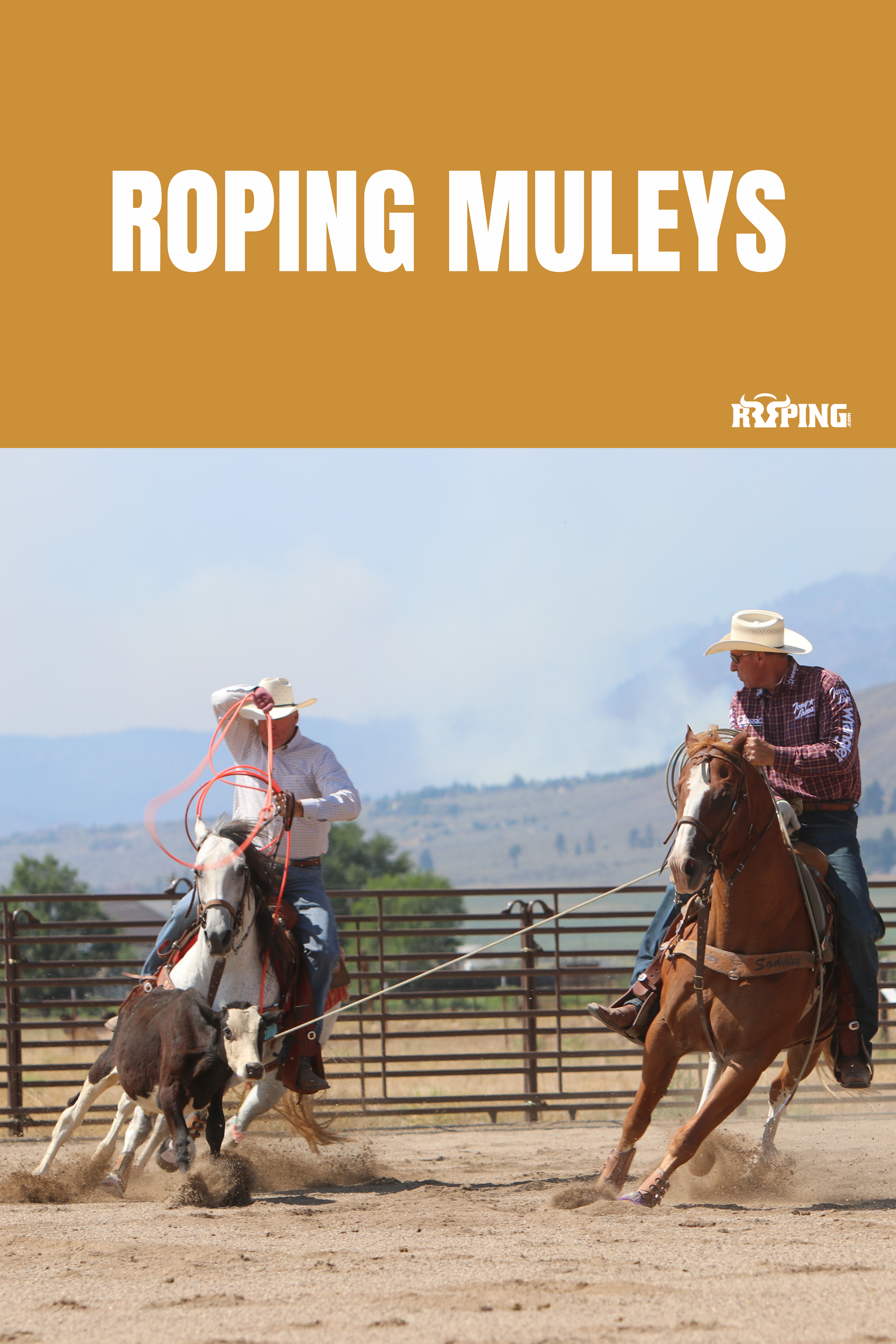 Roping Muleys