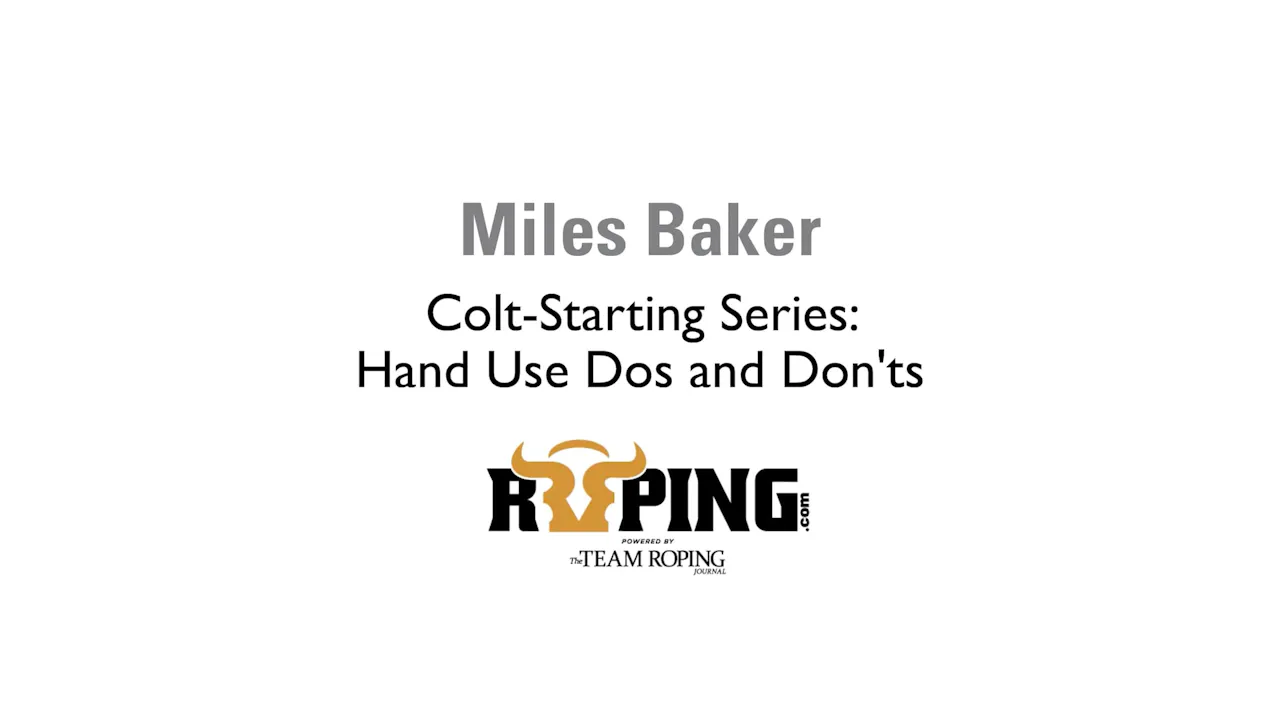 Colt-Starting Series: Hand Use Dos and Don'ts - Roping․com