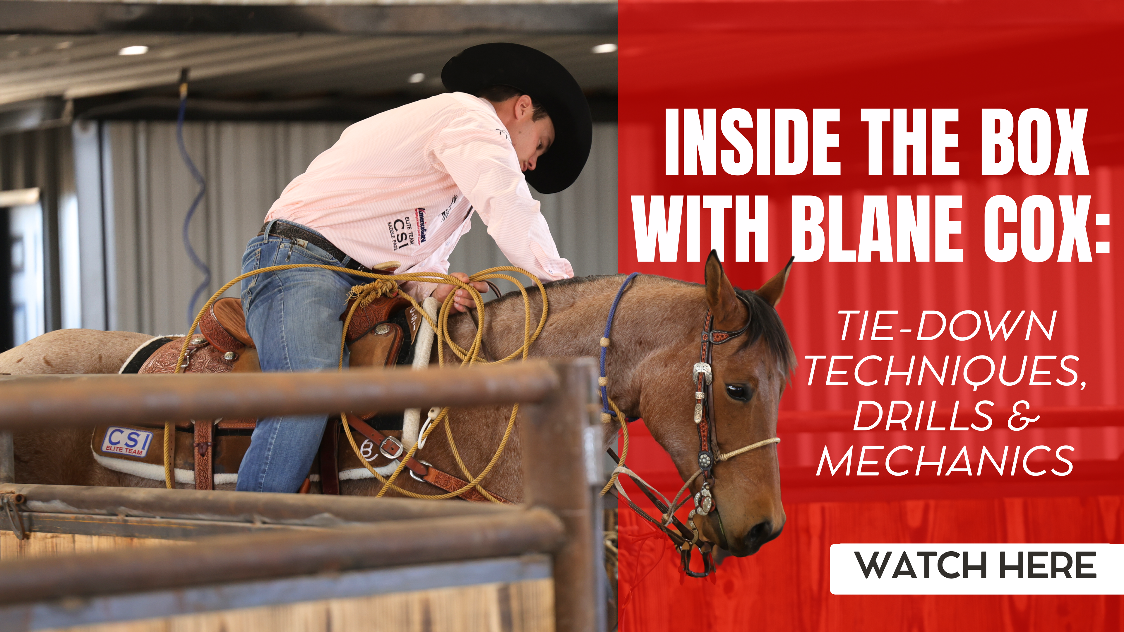 Inside the Box with Blane Cox: Tie-Down Techniques, Drills & Mechanics