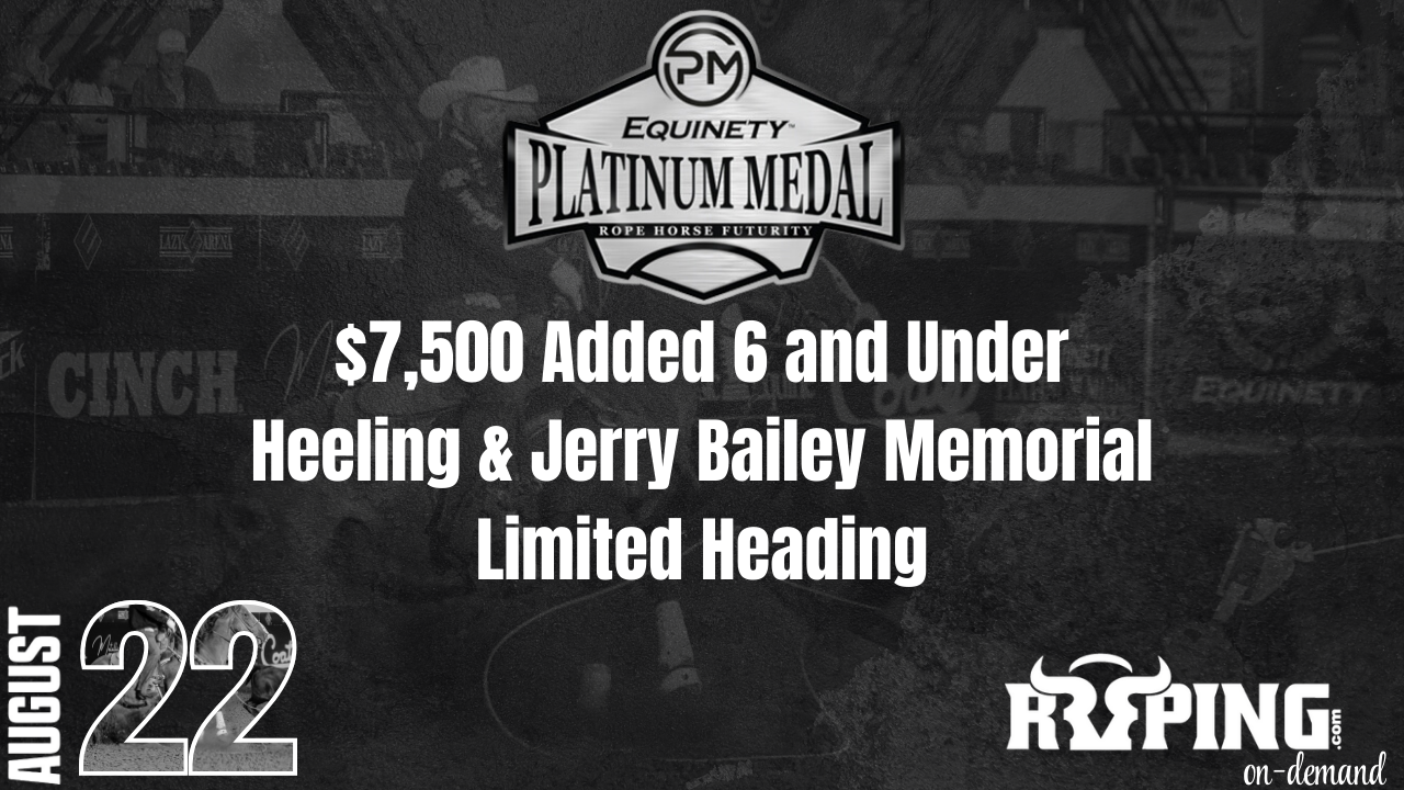 6 & Under Open Heeling and Limited Heading | Platinum Medal Futurity | 8/22/24