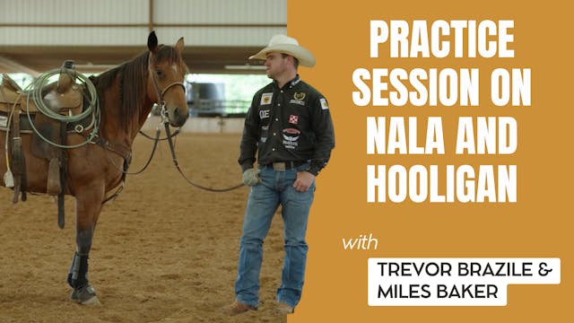 Practice Session on Nala and Hooligan