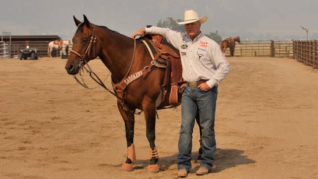 Monitoring Your Horse During a Practi...