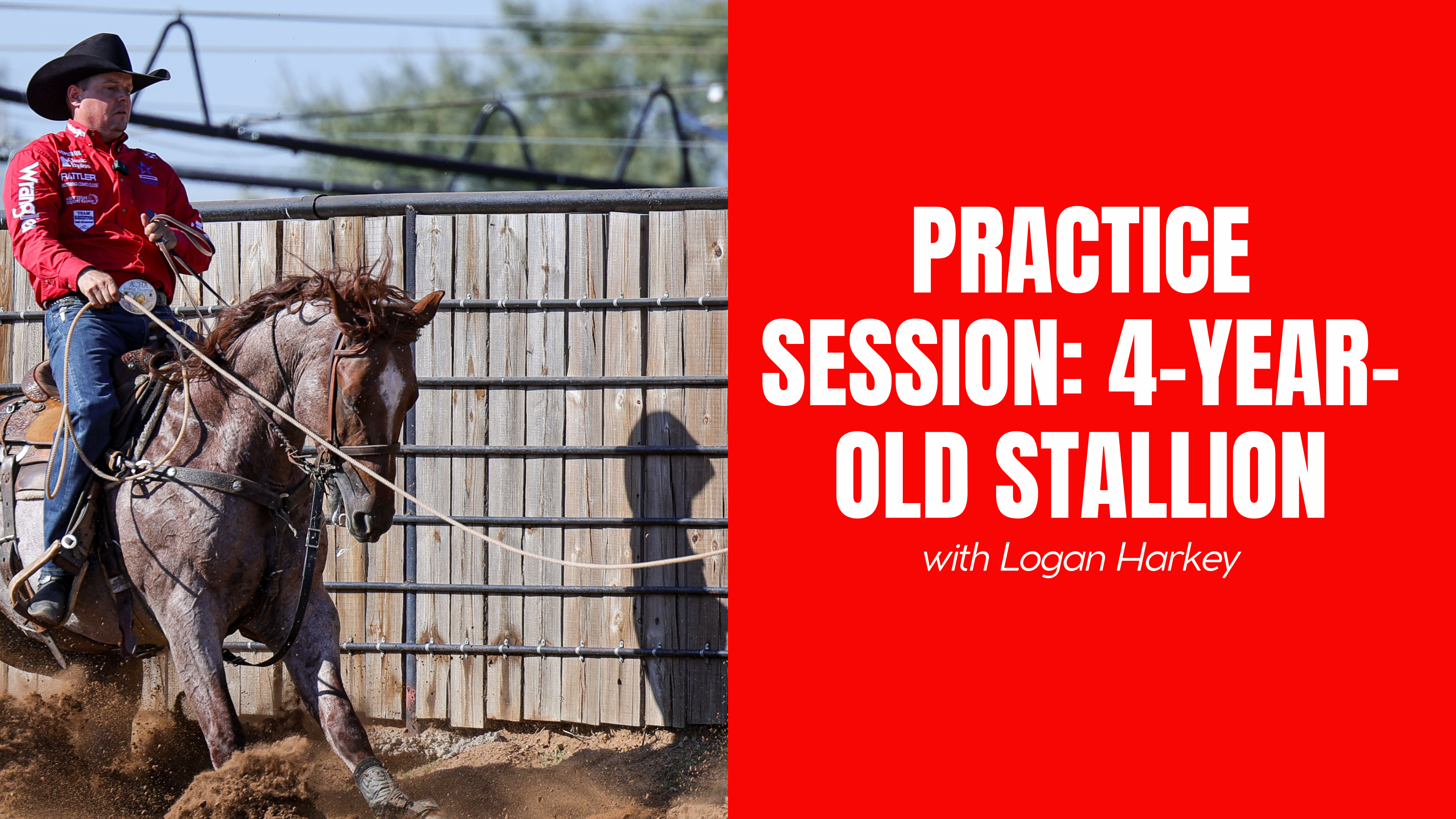 Practice Session: 4-Year-Old Stallion