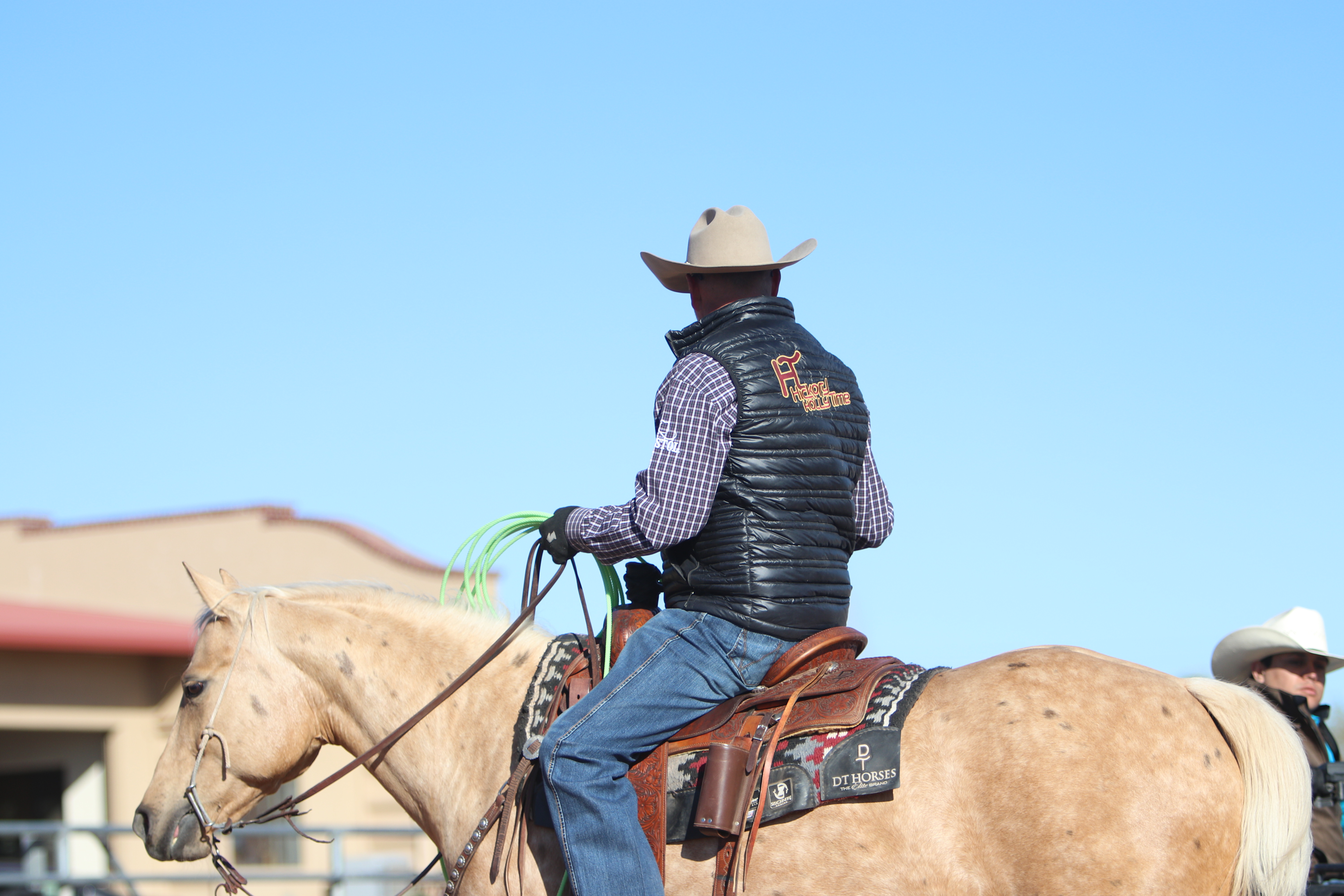 DT Horses Masterclass