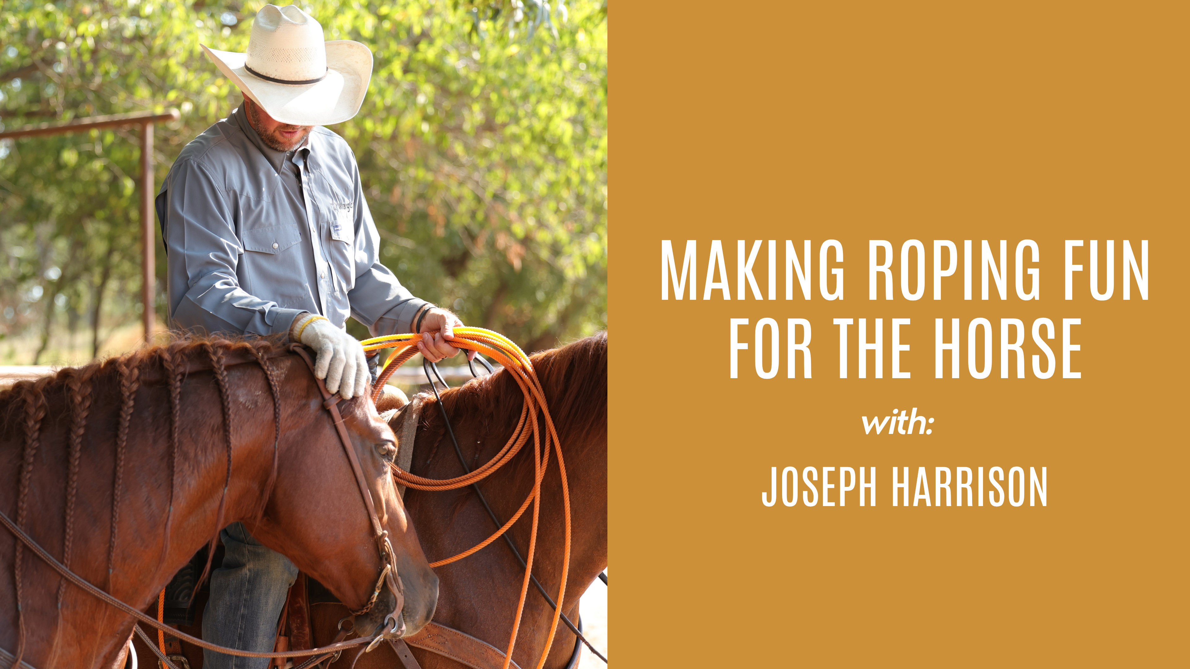 Joseph Harrison: Making Roping Fun for the Horse