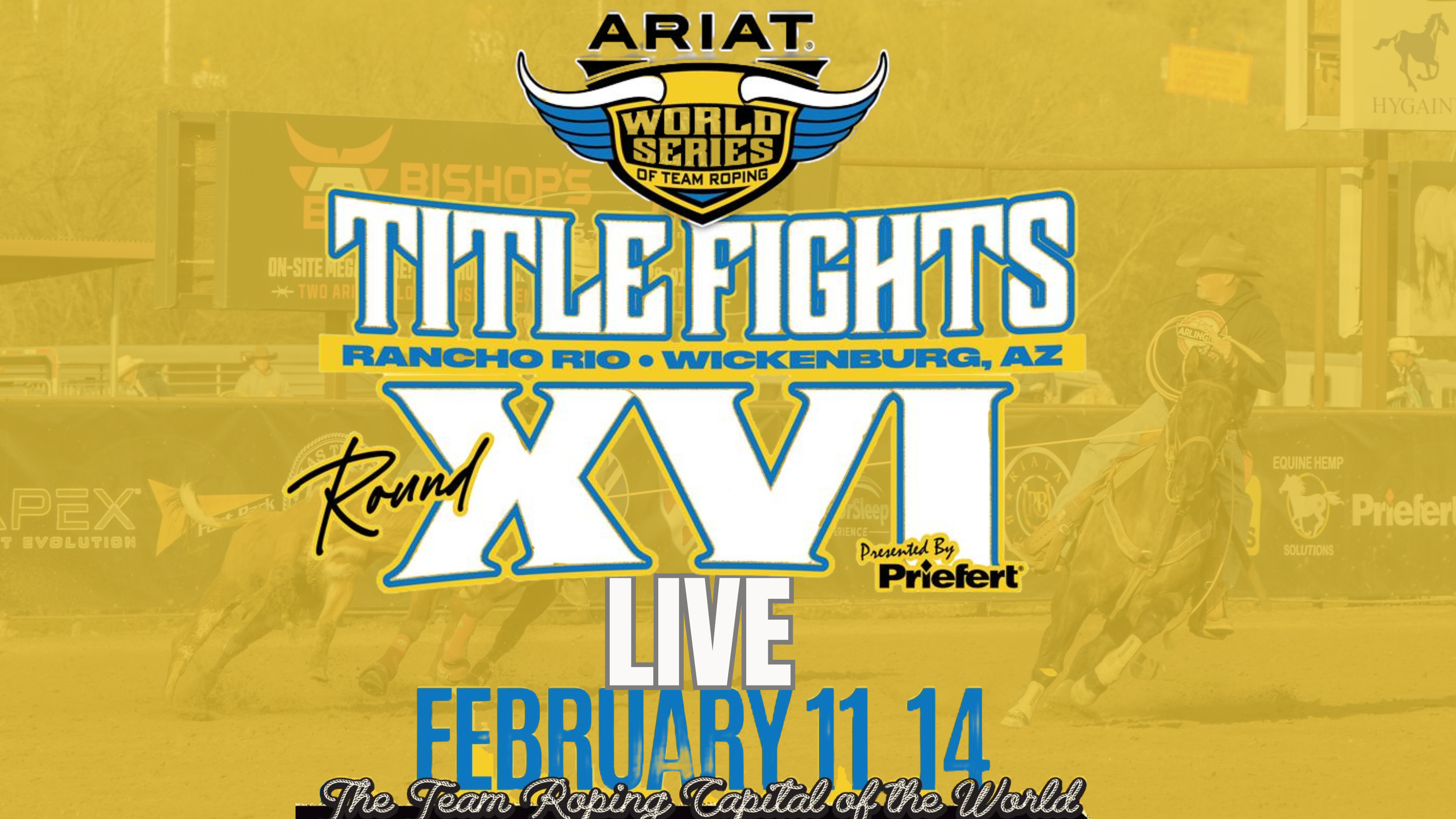 Ariat World Series of Team Roping Events