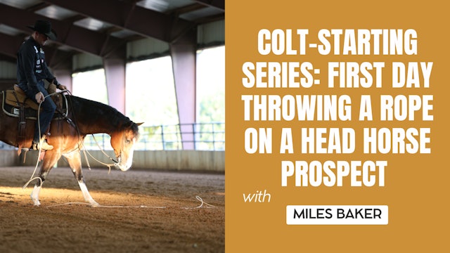 Colt-Starting Series: First Day Throwing a Rope on a Head Horse Prospect
