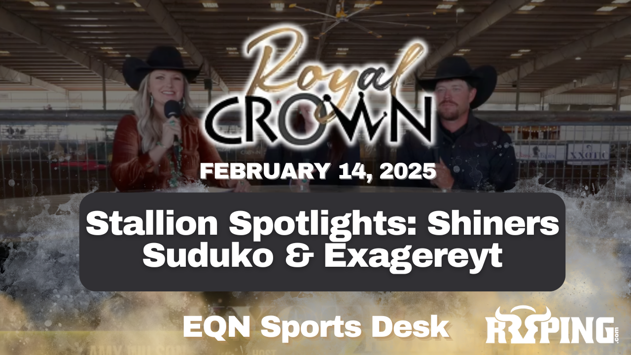 Stallion Spotlights: Shiners Suduko & Exagereyt | Royal Crown Futurity | 2/24/25