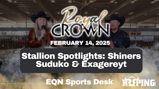 Stallion Spotlights: Shiners Suduko &...