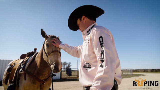Harlans Star Splash: Blane Cox's Hone...