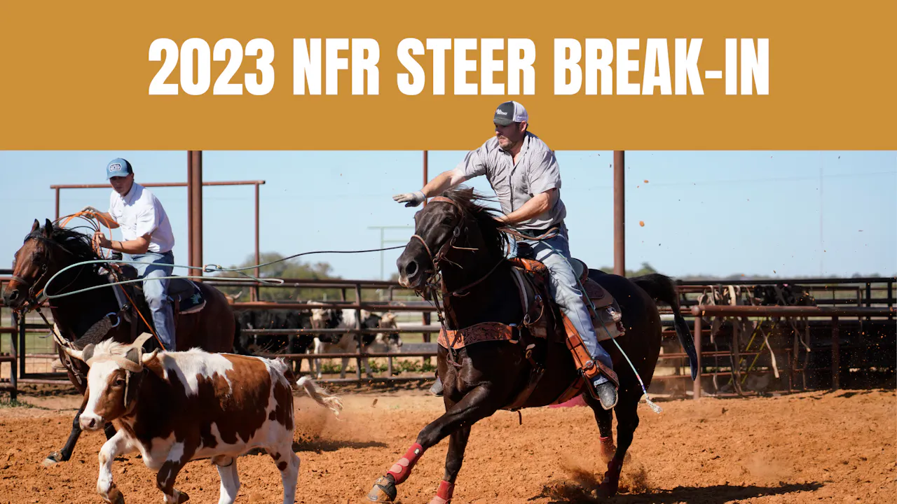 Nfbr Roping The 2023 NFR Steer Break-In - Steer Break-In Sessions - Roping․com