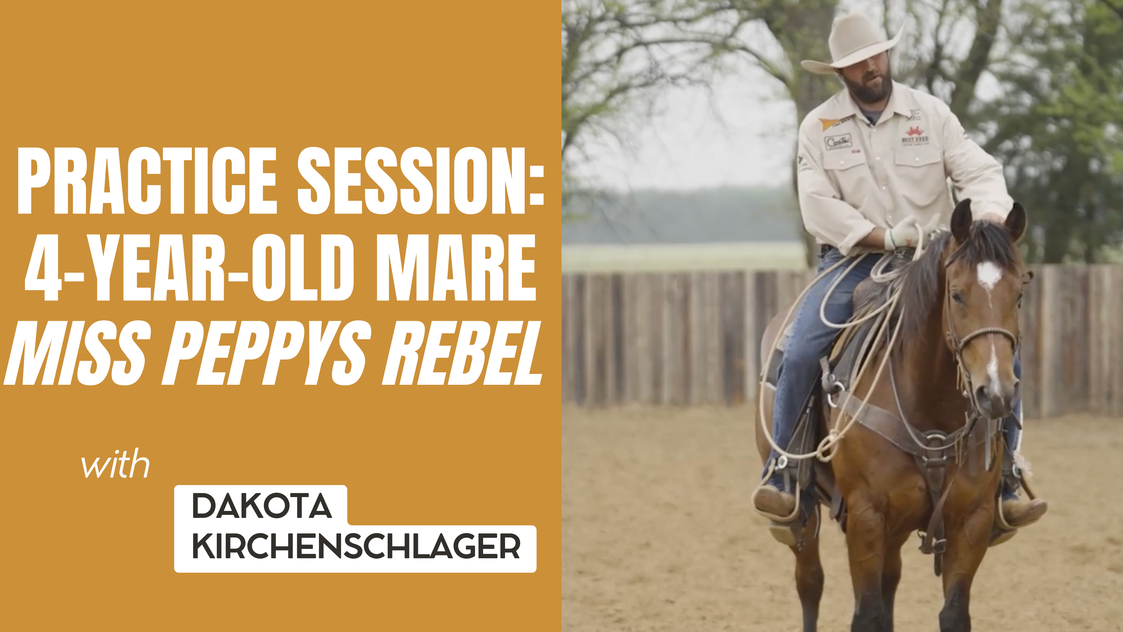 Practice Session: 4-Year-Old Mare Miss Peppys Rebel