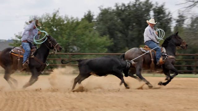 When a Steer Comes Left