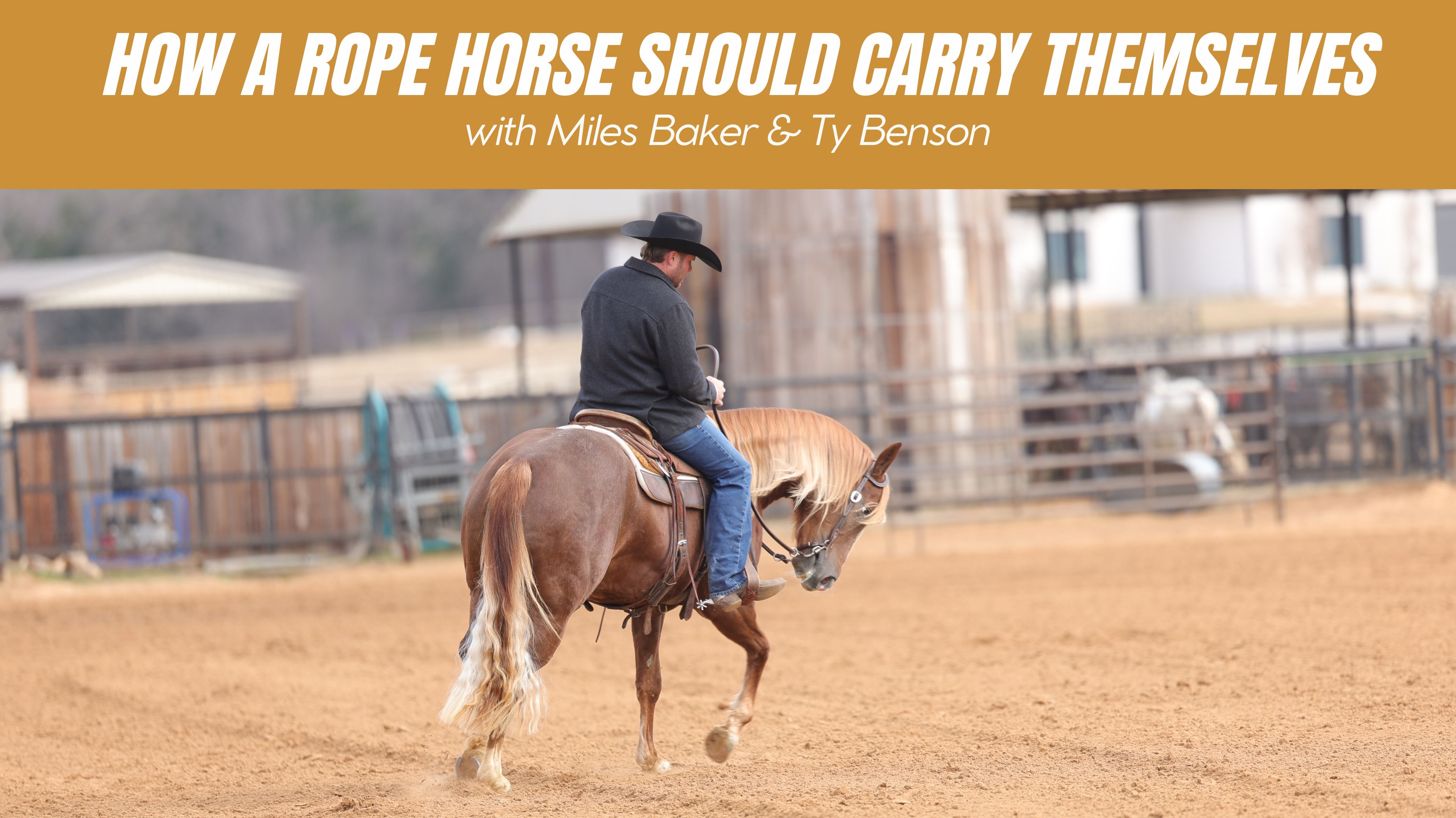 How a Rope Horse Should Carry Themselves