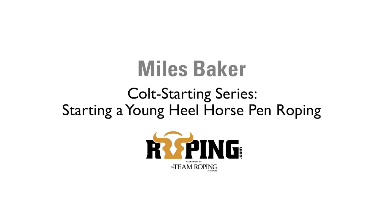 Colt-Starting Series: Starting a Young Heel Horse Pen Roping - Roping․com