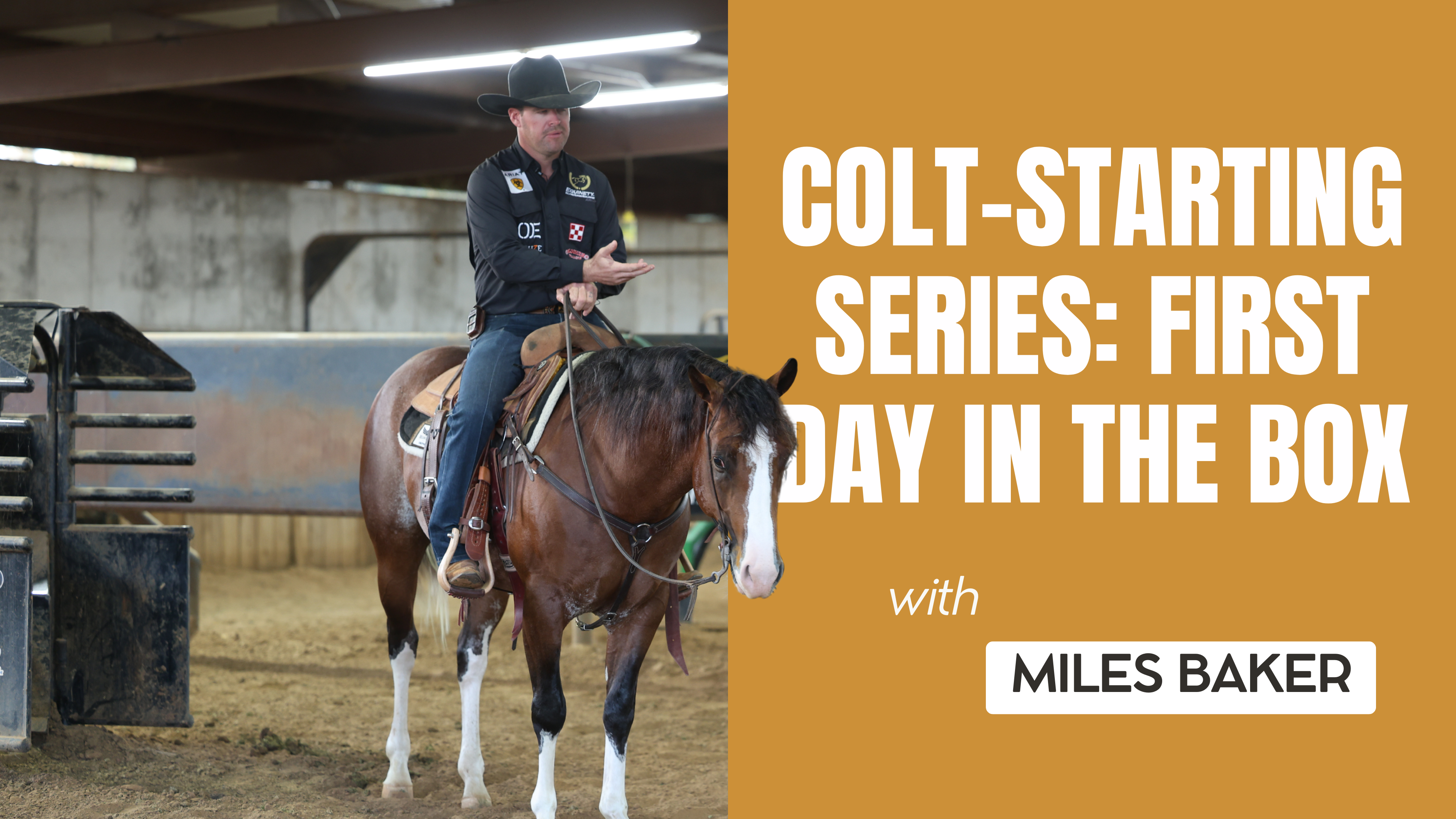 Colt-Starting Series: First Day in the Box