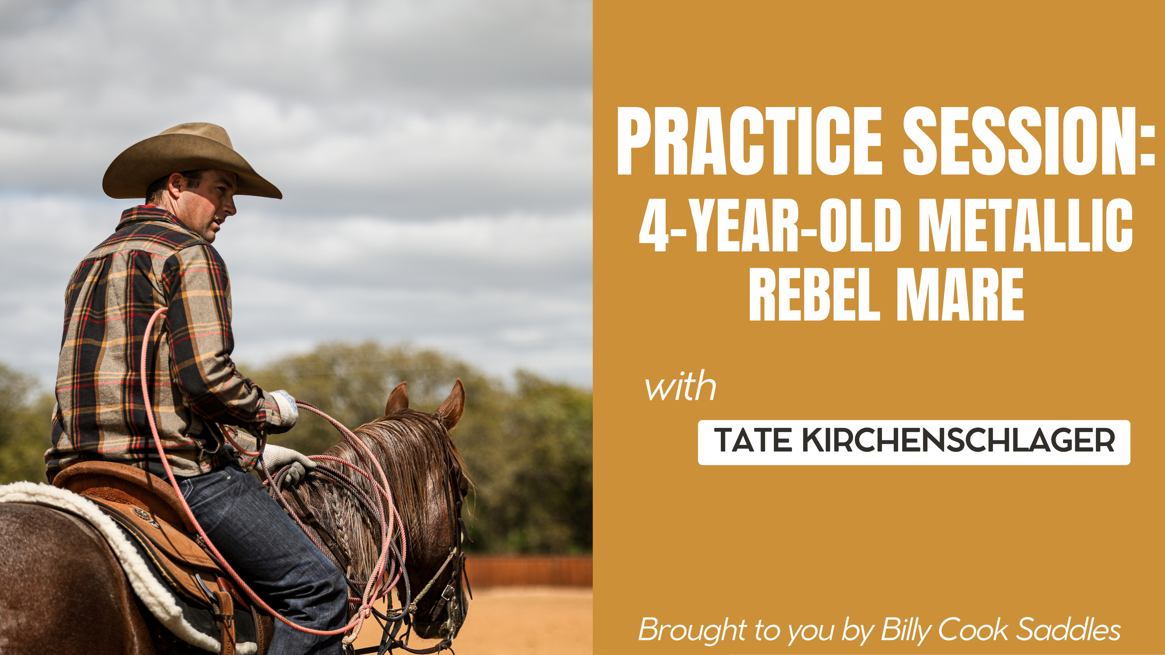 Practice Session: 4-Year-Old Metallic Rebel Mare