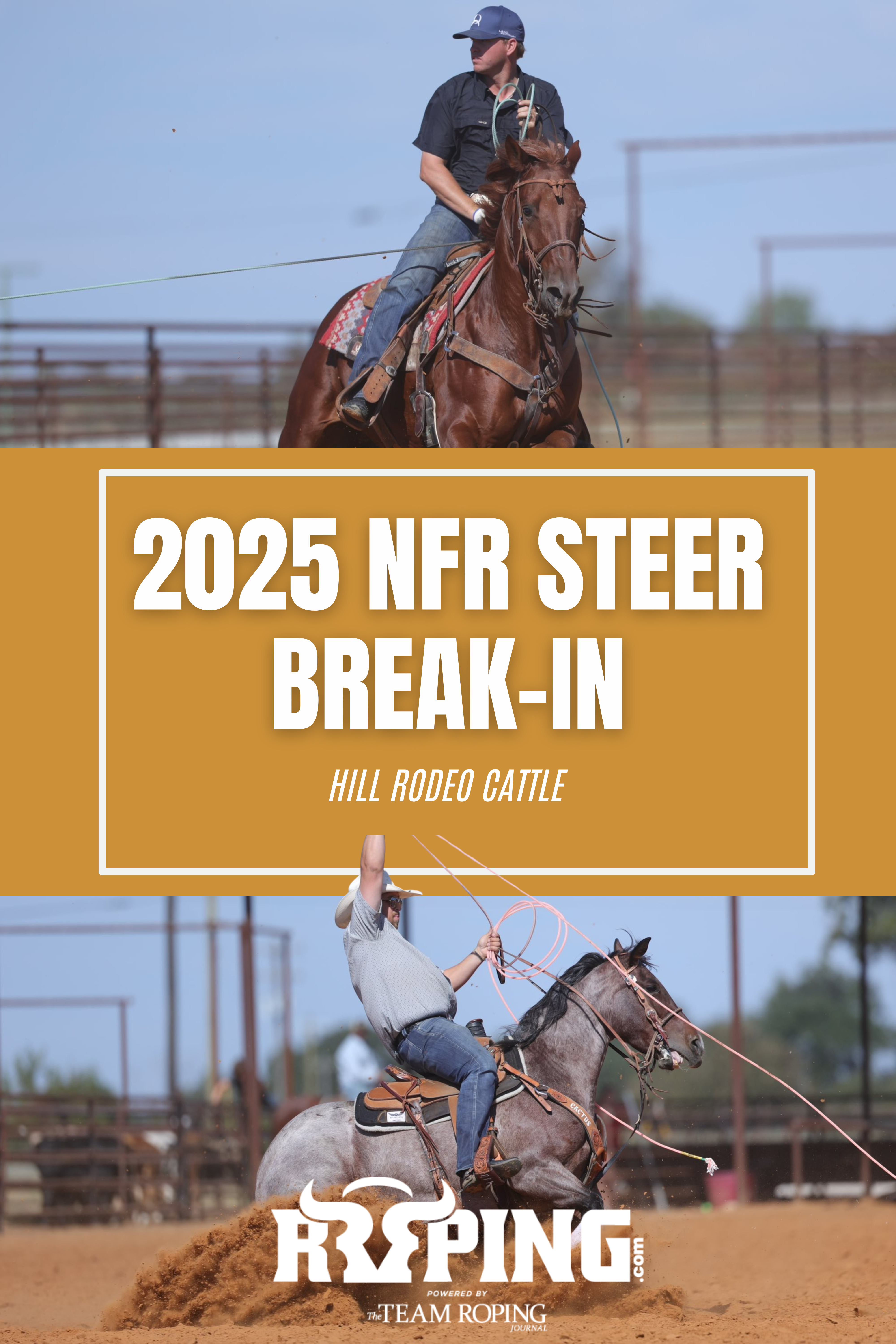 2025 NFR Steer Break-In