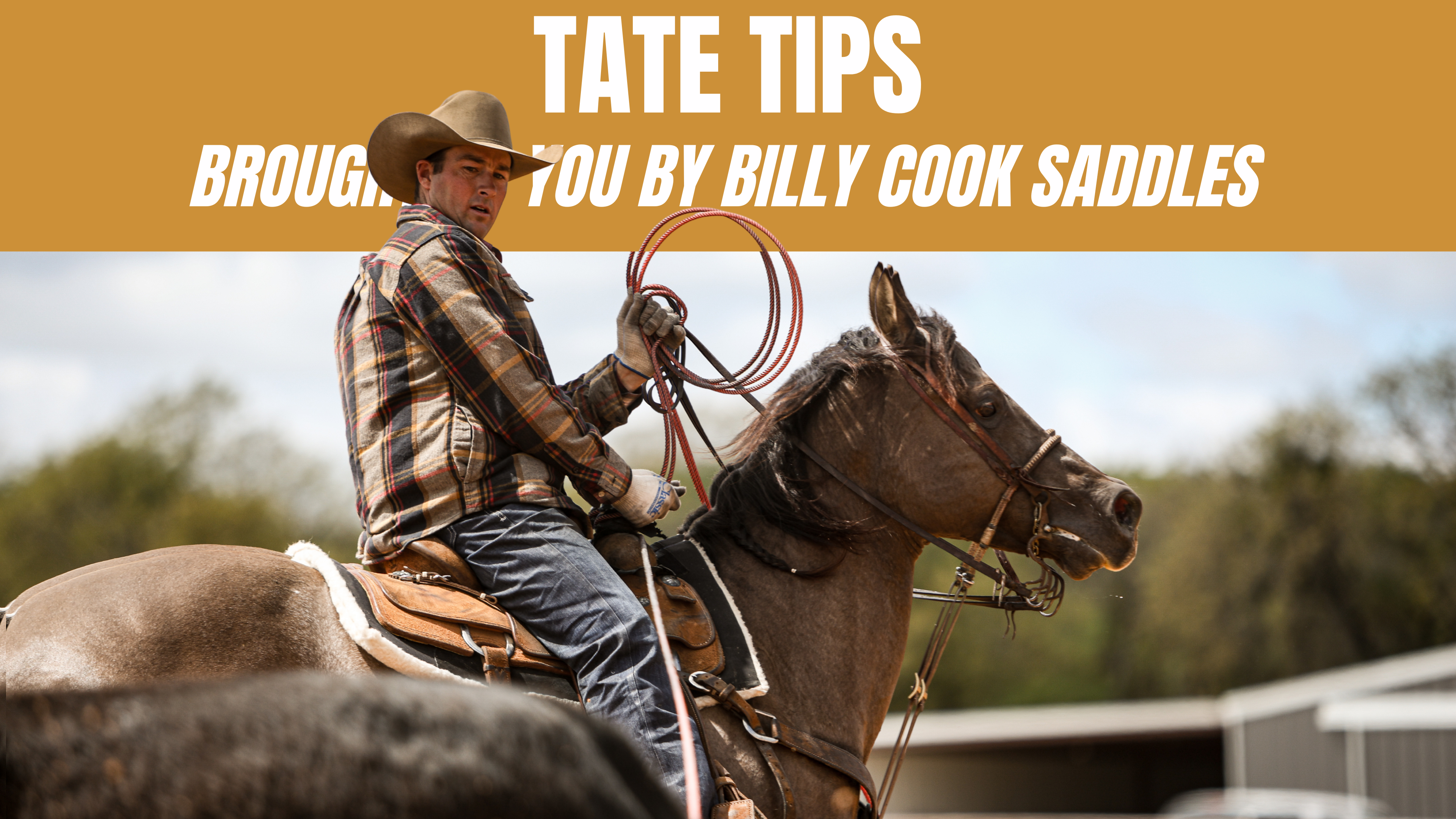 Tate Tips Brought to you by Billy Cook Saddles