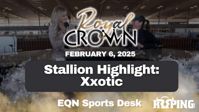 Stallion Highlight: Xxotic | Royal Cr...