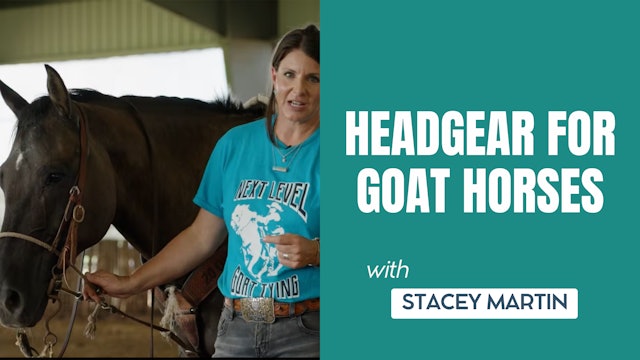Headgear for Goat Horses