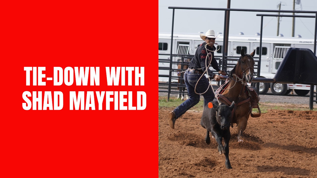 Tie-Down with Shad Mayfield