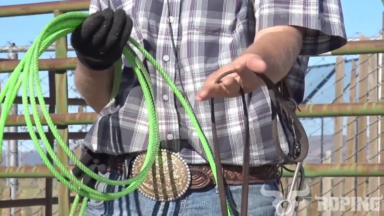 How To Hold The Reins And Coils - Roping․com