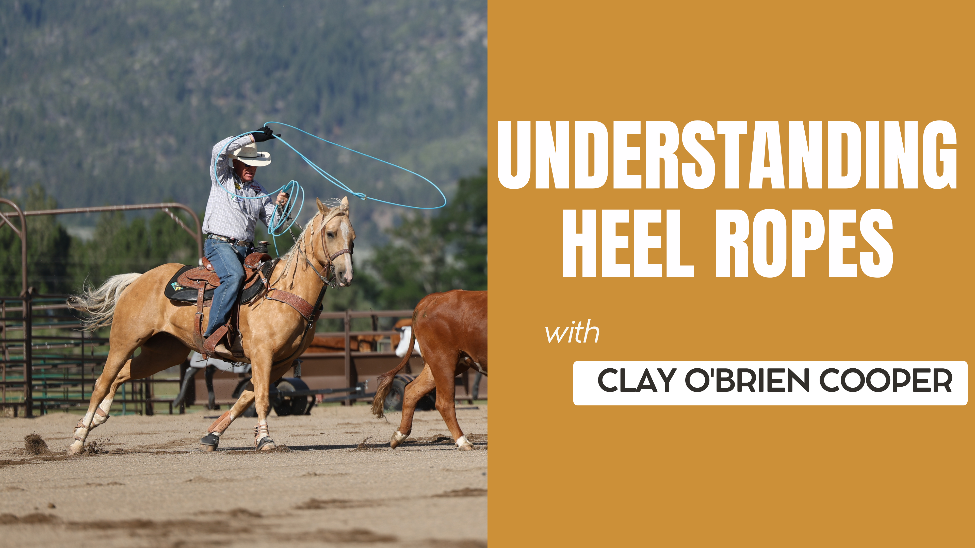 Understanding Heel Ropes