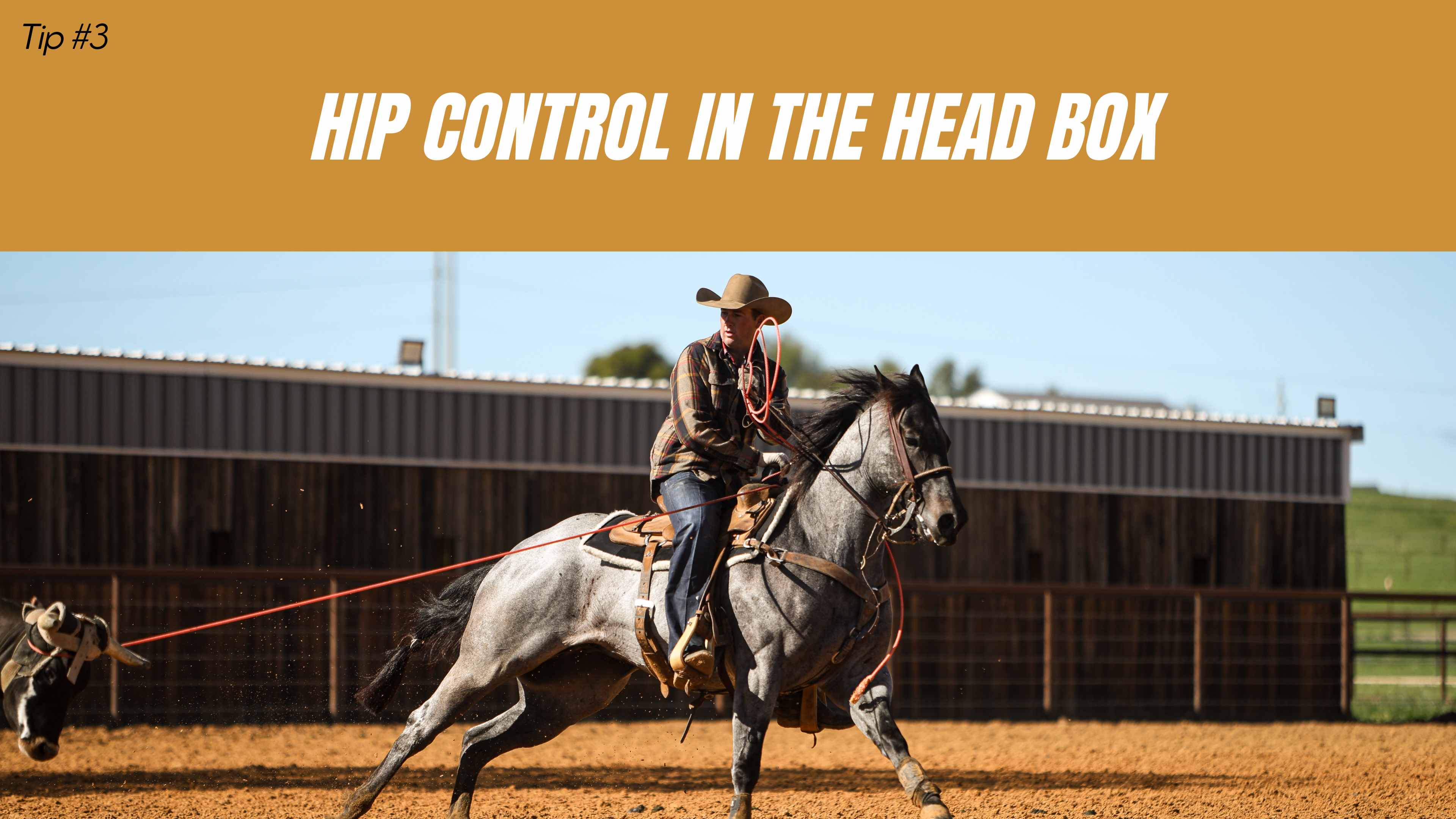 Hip Control in the Head Box