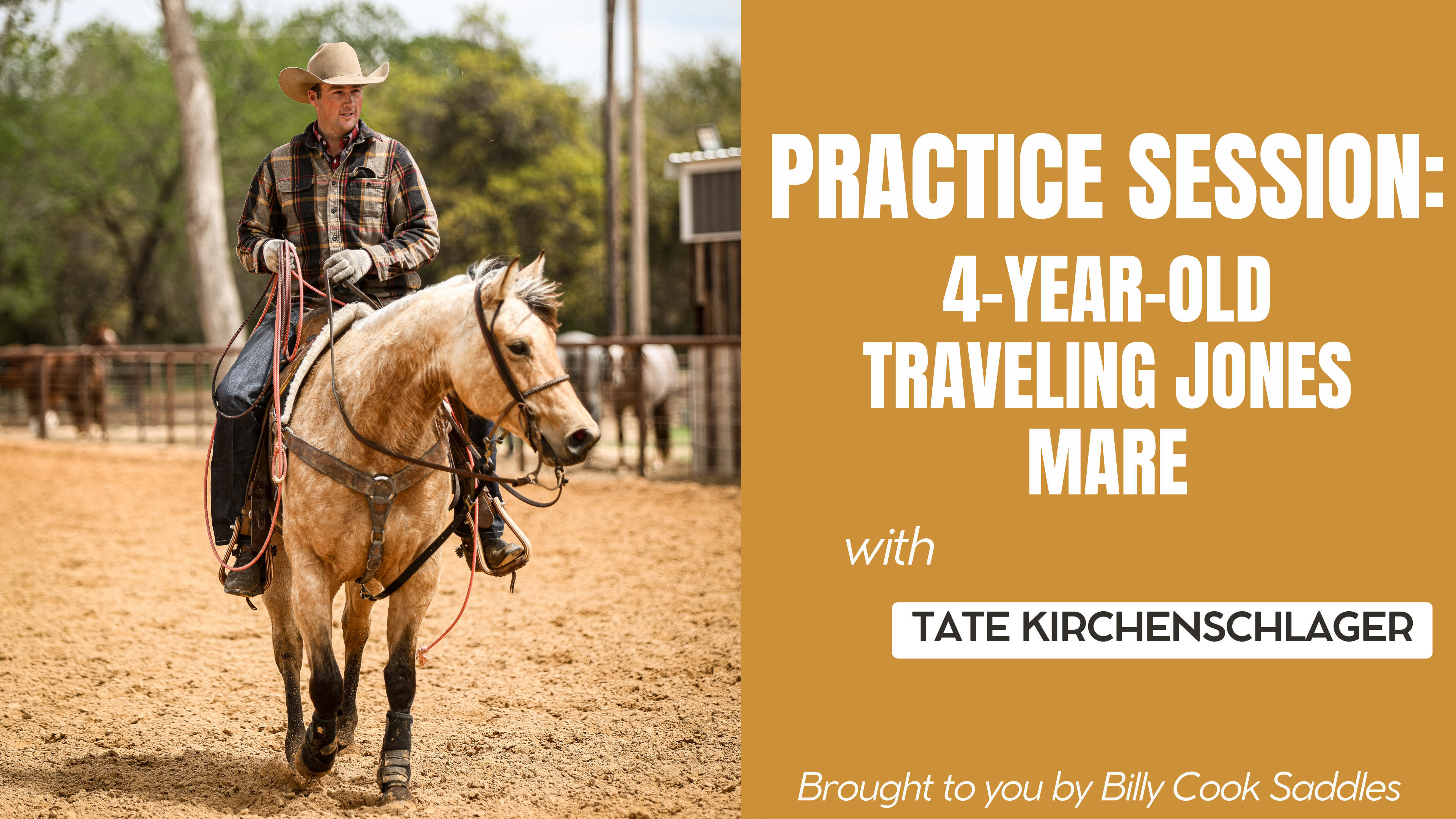 Practice Session: 4-Year-Old Traveling Jones Mare