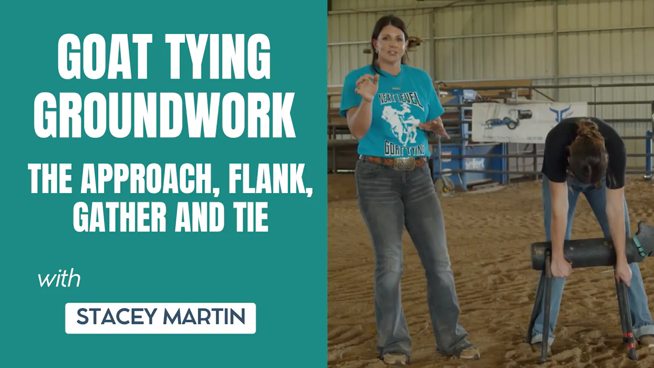 Goat Roping Pivot Design Goat Tying Groundwork- The Approach, Flank, Gather and Tie - Roping․com