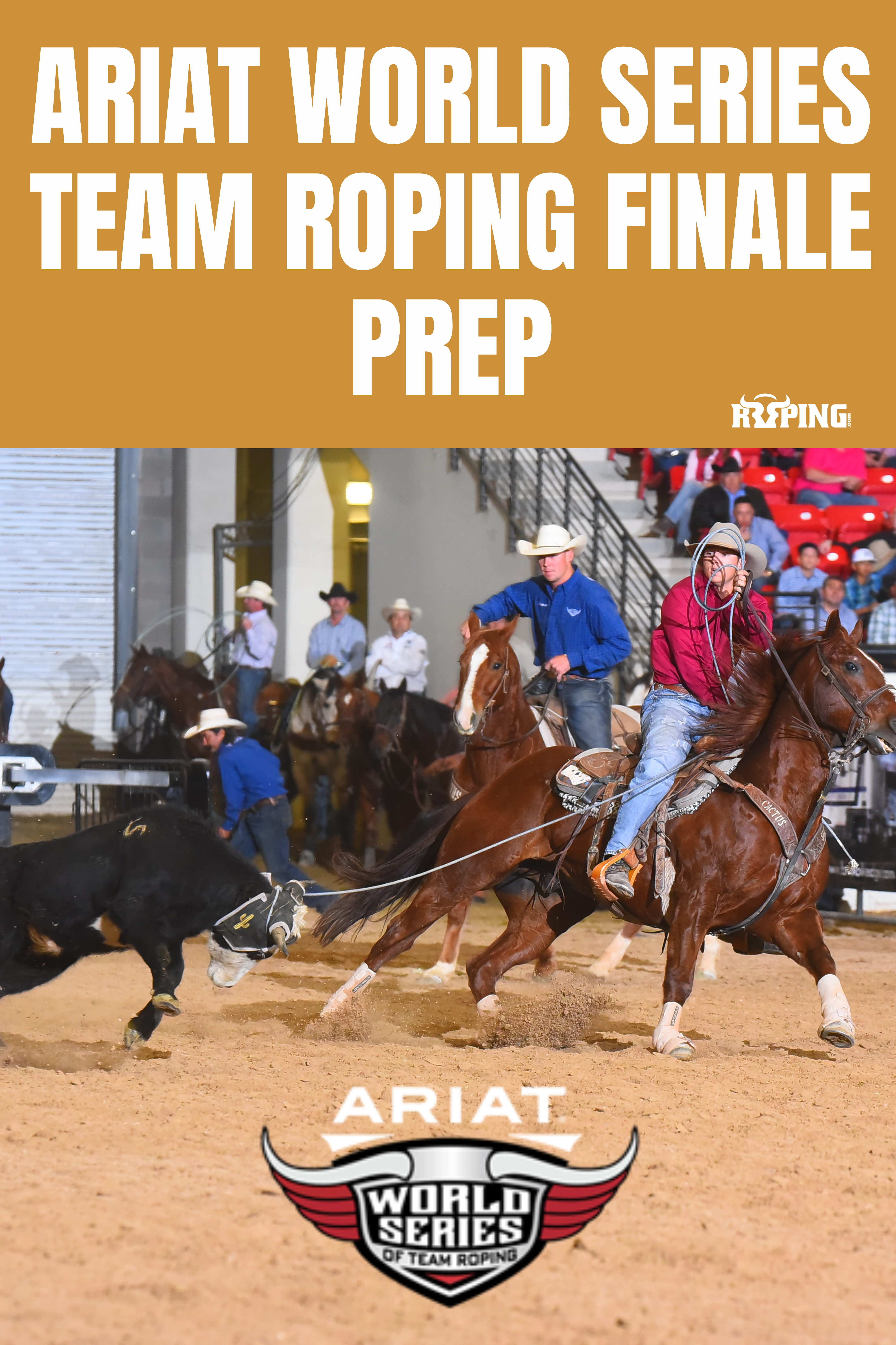 Ariat World Series of Team Roping Finale Prep