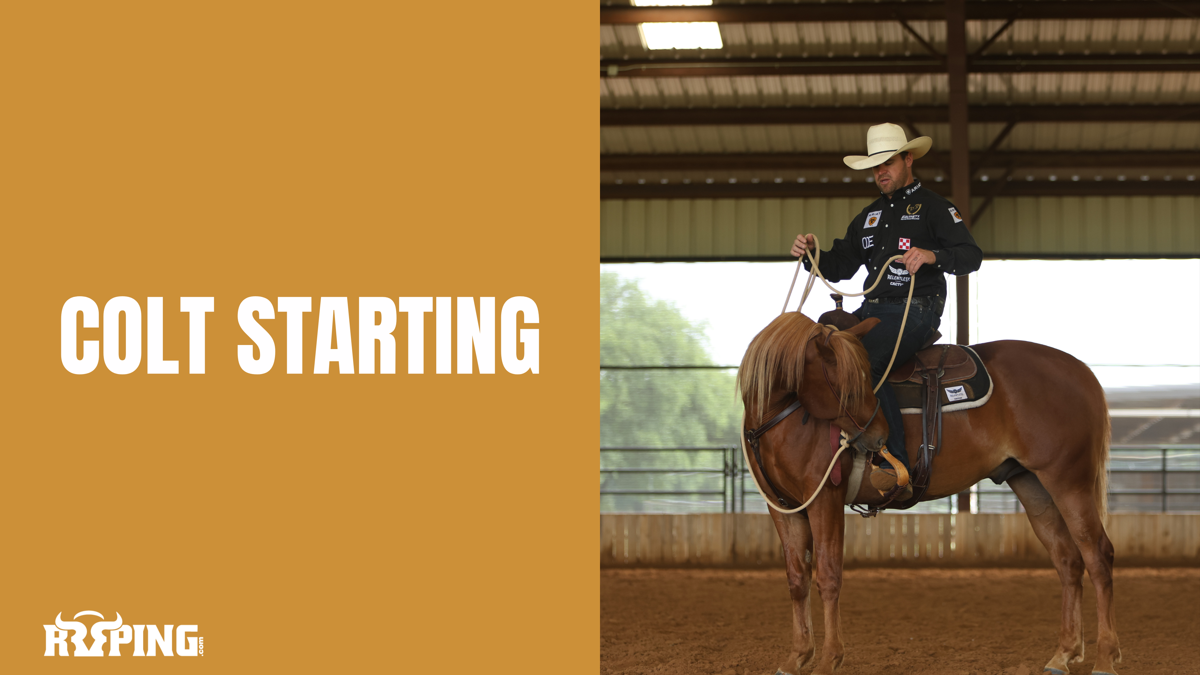 Colt Starting
