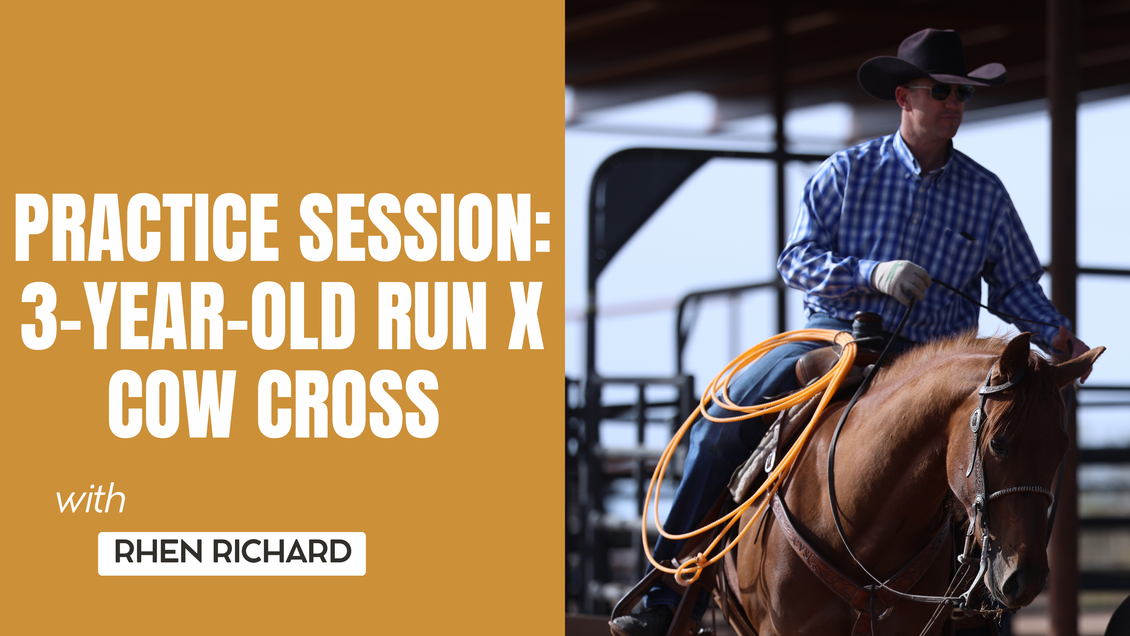 Practice Session: 3-Year-Old Run x Cow Cross