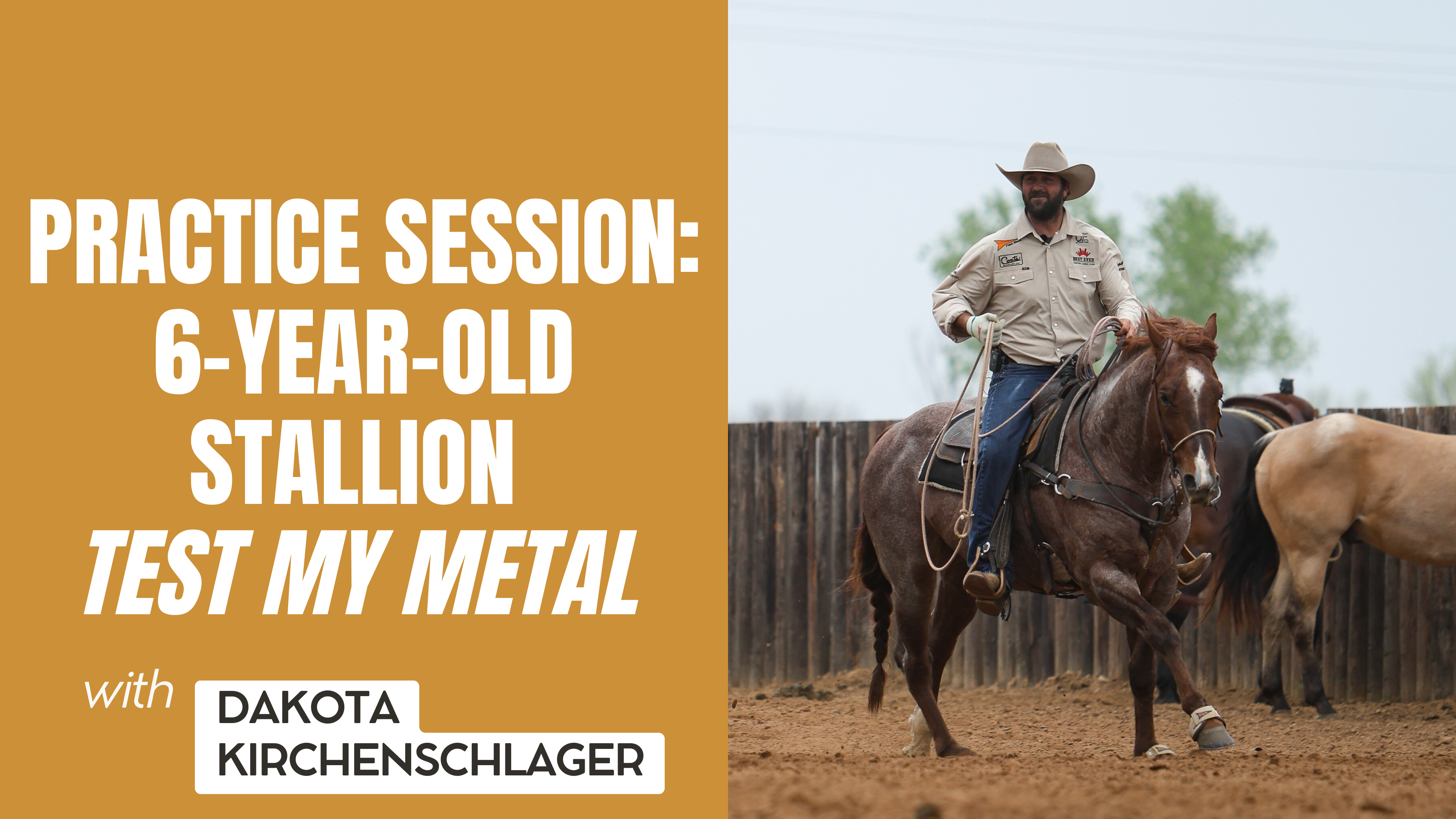 Practice Session: 6-Year-Old Stallion Test My Metal