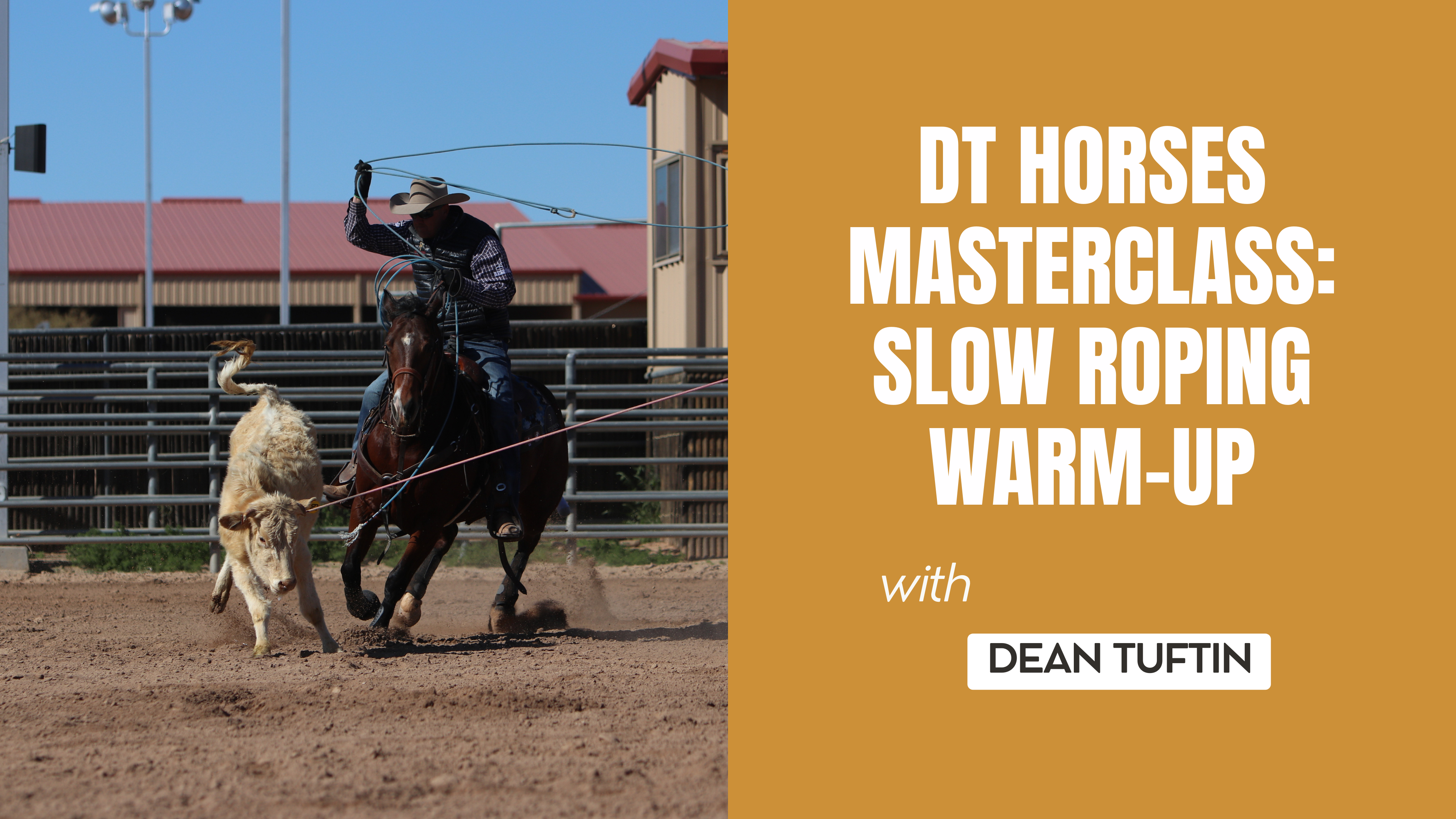 DT Horses Masterclass: Slow Roping Warm-Up 