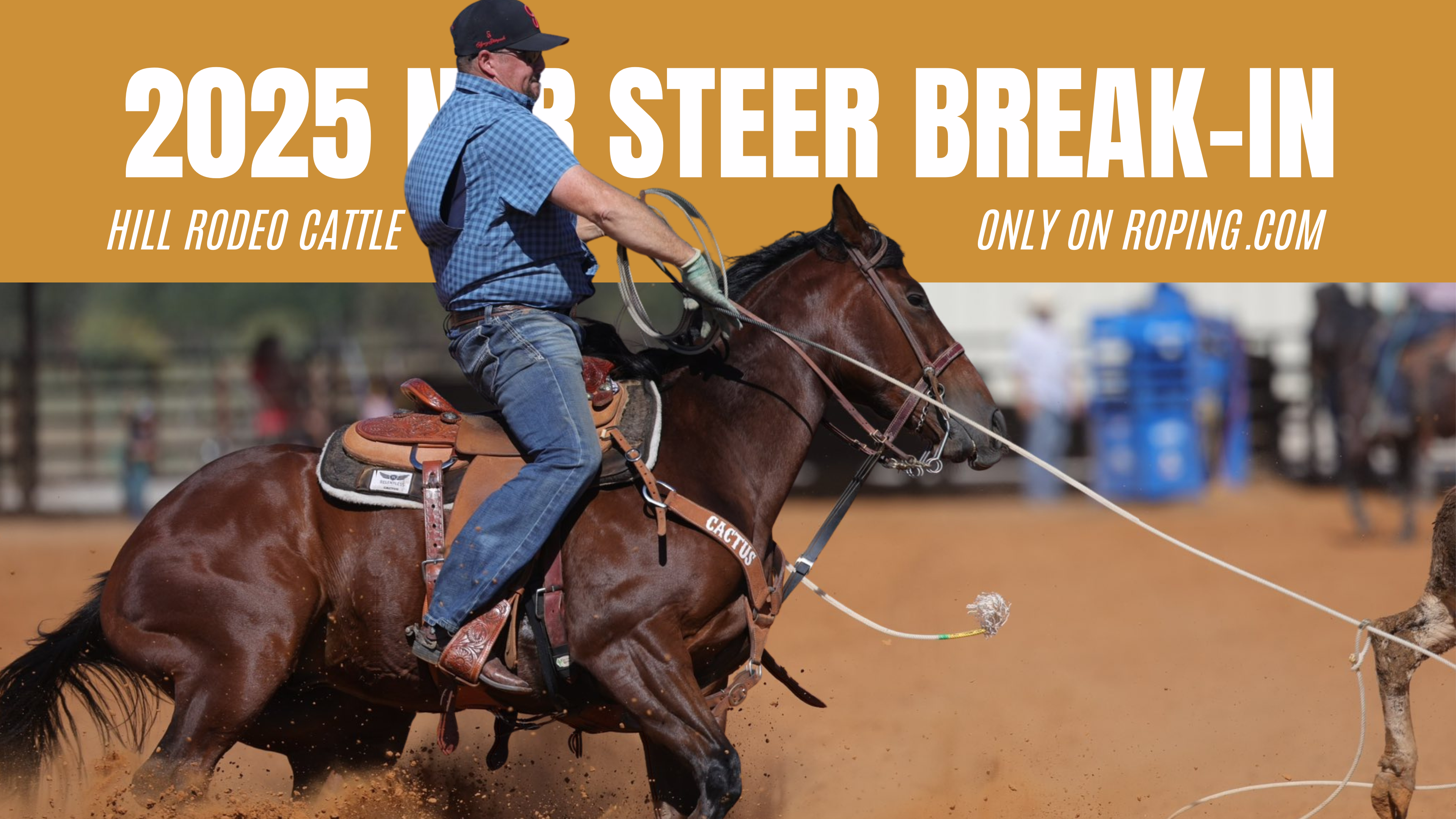 2025 NFR Steer Break-In