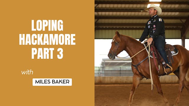 Loping Hackamore Part 3