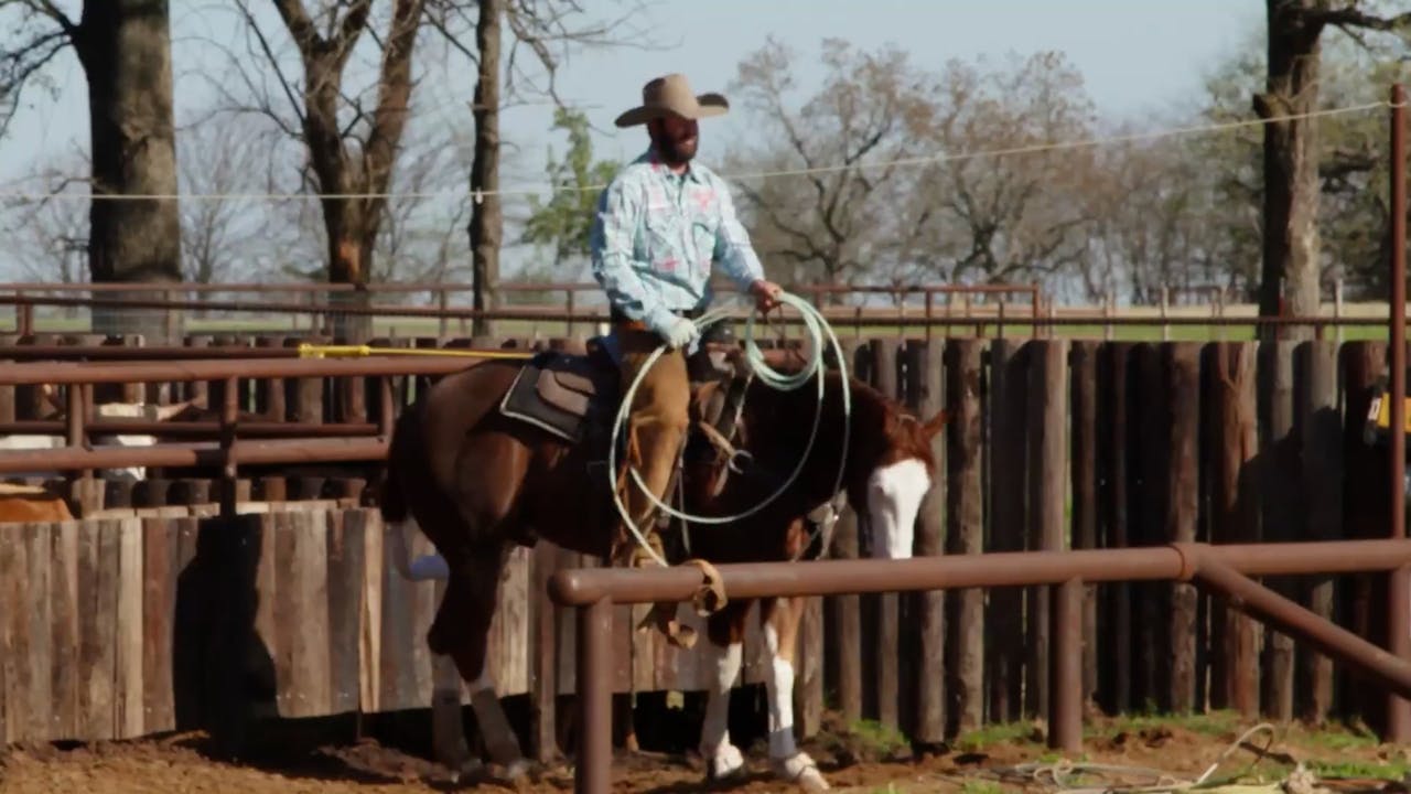 Steer Stopping Session on Ex-Reiner - Roping․com